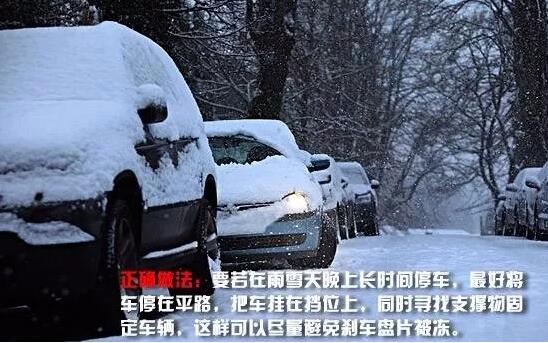 1516094089494951.jpg 5.jpg