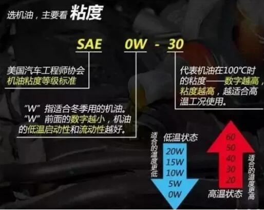 1541229366227336.jpg 7.jpg